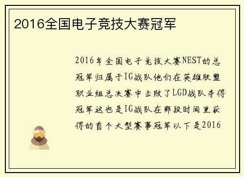 2016全国电子竞技大赛冠军